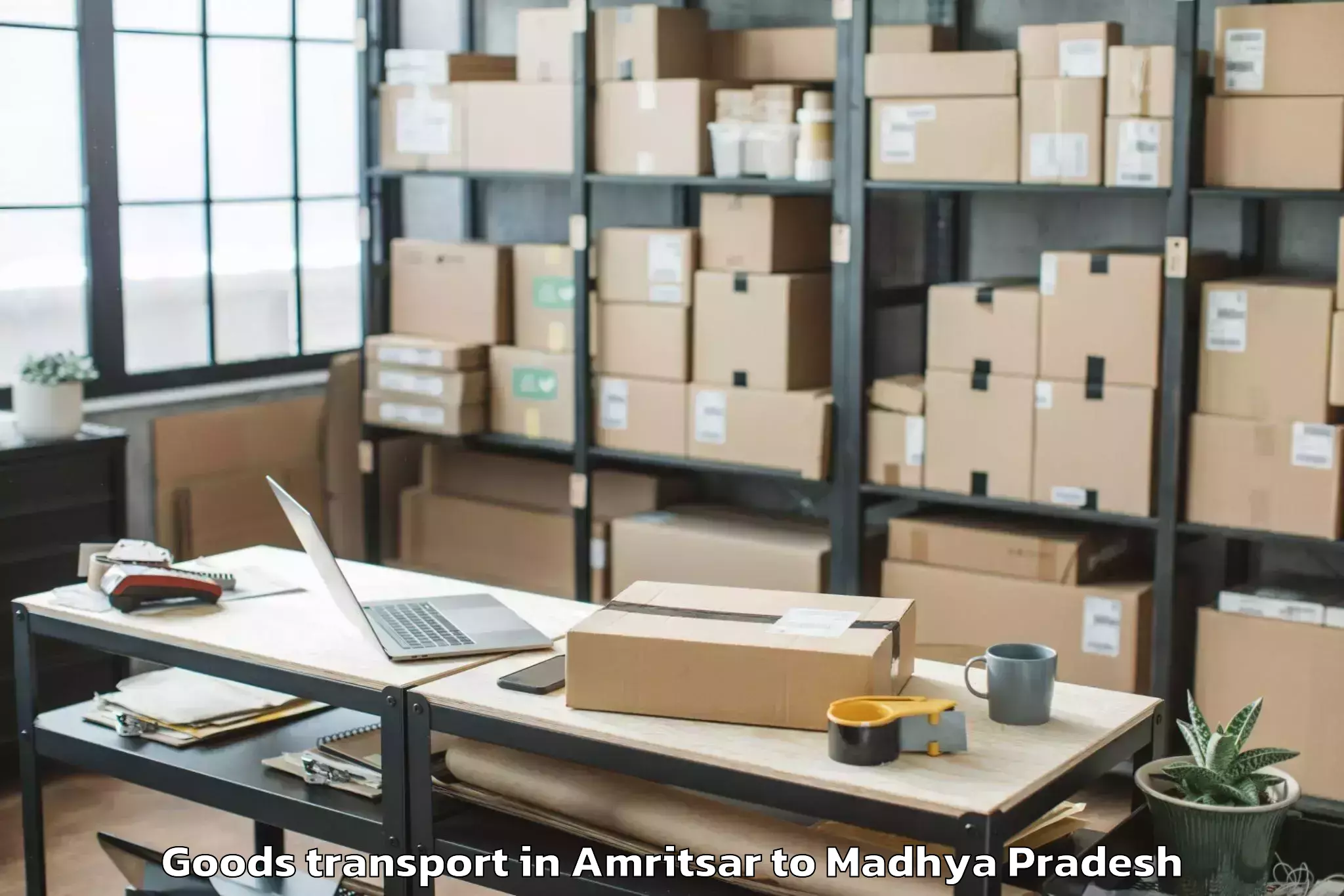 Professional Amritsar to Bhopal Airport Bho Goods Transport